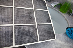 フィルターの水洗い