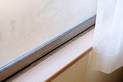 カビの発生に注意! 窓やドアの結露を予防するテクニックとは?