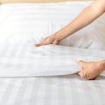 夏シーズンは要注意！　ベッドのダニ対策方法